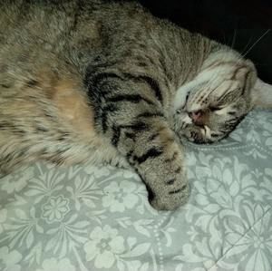 Meet your Posher, Bea